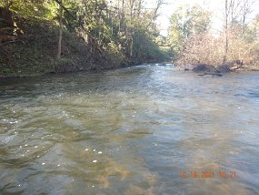 $Bald Eagle Spring10-17-2021013$ Spring Creek...flows are still higher than normal but still inviting and fishable!